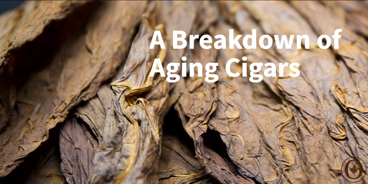 Premium Cigars: A Breakdown of Aging Cigars